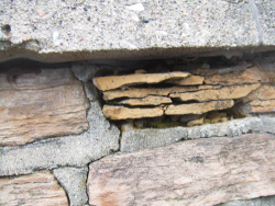 The wooden Bricks in the chimney